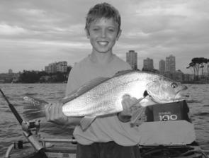 There are still plenty of jewfish around the Harbour’s wrecks and reefs but Summer fish tend to be smaller than Winter fish.